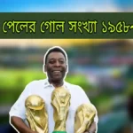 বিশ্বকাপে পেলের গোল সংখ্যা ১৯৫৮~১৯৭০ পেলের রেকর্ড সমূহ