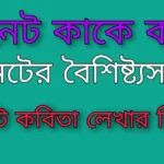 সনেট কাকে বলে~সনেটের বৈশিষ্ট্যসমূহ