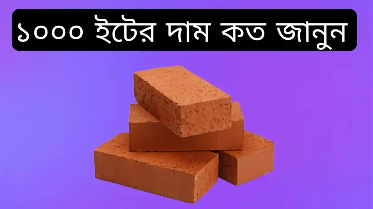 1000 ইটের দাম কত 2023