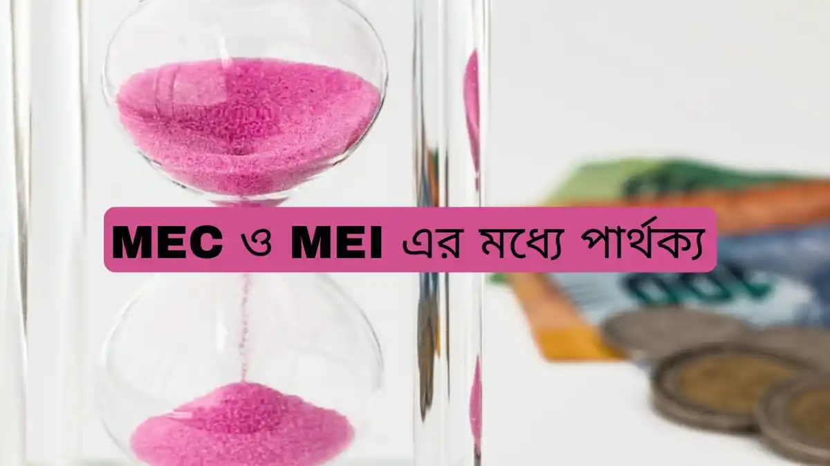 MEC ও MEI এর মধ্যে পার্থক্য