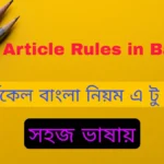 Article Rules Bangla আর্টিকেল বাংলা নিয়ম